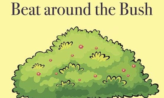 beat around the bush idiom